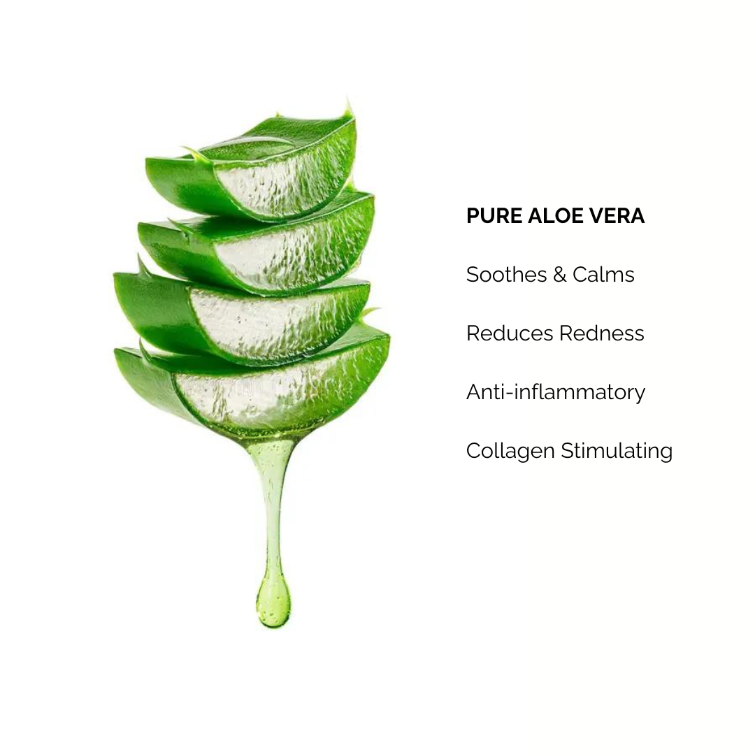 Image showing Aloe Vera and it's key properties 